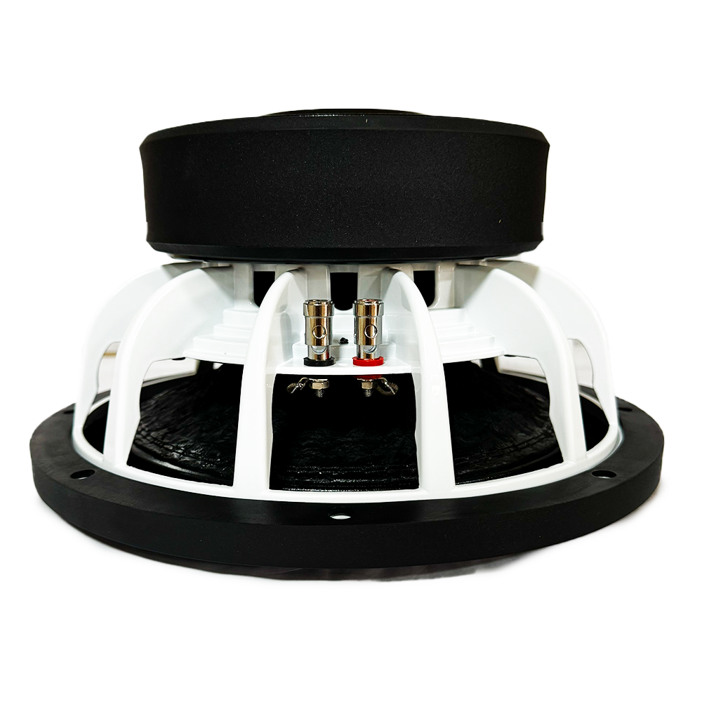 Powerbass RAVEN-12D4 12" 1800W RMS DVC Subwoofer My Store